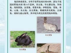 -齐文化博物馆