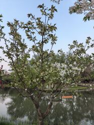 点击看大图 -玄武湖景区-情侣园游乐场