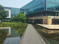 -江湾体育中心游泳馆