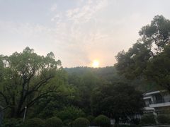 -杭州花家山庄