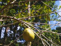 -七仙岭温泉国家森林公园