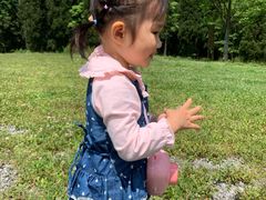 -武陵山森林公园