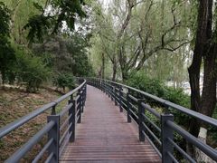 -大兴滨河森林公园