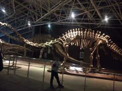 -世界恐龙谷景区