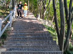 -紫金山山顶公园