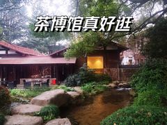 -中国茶叶博物馆(双峰馆区)