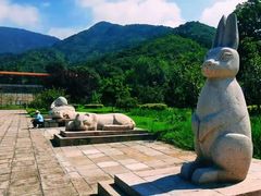 -北京十三陵国家森林公园蟒山景区