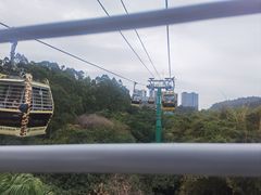 -广州长隆野生动物世界