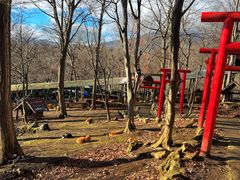 -宫城藏王狐狸村