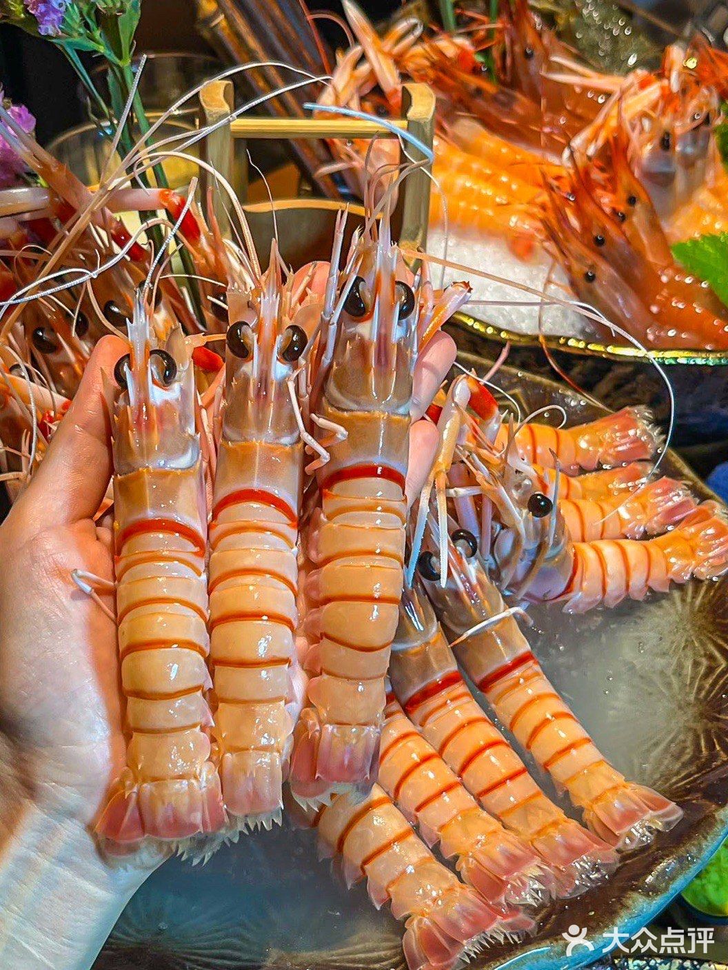 广州自助！来这家就对了！！食材新鲜种类多