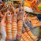 广州自助！来这家就对了！！食材新鲜种类多