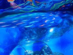 -顺德南宏海立方海洋公园