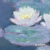 莫奈大师的画作🖼️总是充满艺术美感