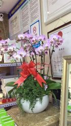 -痘博士北京·全国连锁祛痘机构