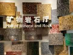 -甘肃地质博物馆