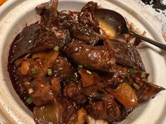 本地甲鱼烧鸡翅-品悦(崇明凯悦店)