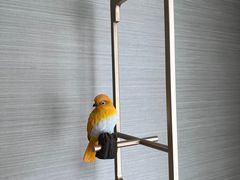 -北京北辰洲际酒店