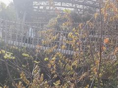 -福道