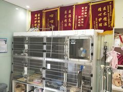 -悦宠动物医院(京丰分院)