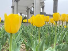 -长春公园(普阳街道)