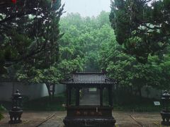 -秋霞圃