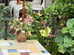 -吃货私房菜(丽江束河古镇店)