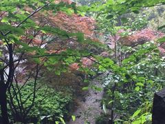 -杭州黄龙洞
