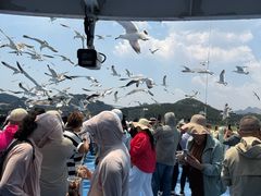 -海驴岛(荣成市)