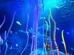 -沈阳海洋探索中心