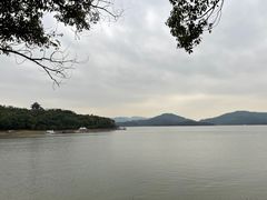 -天目湖山水园