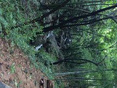 穹窿山-穹窿山景区