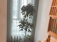 -瓦舍茶馆(聚源路店)