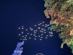 -合肥融创乐园