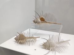 -贝壳王国博物馆
