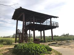 -长田漾湿地公园