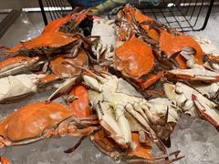-常州富力喜来登酒店 Feast盛宴标帜西餐厅(新北万达广场店)