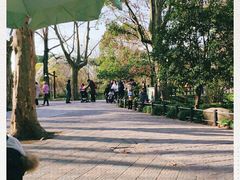 -上海共青森林公园