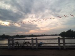 -尼甘布海鲜市场