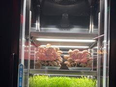 -捞王猪肚鸡火锅(金华义乌之心店)