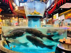 -魏铭鱼头捞饭(晋阳路店)