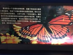 -上海昆虫博物馆