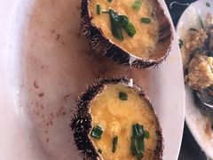 海胆蒸蛋-岛中岛·海鲜大排档·万宁老字号(东澳店)