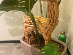 -COTTON CAFE(德信·中外公寓店)