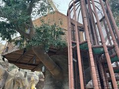 -杭州开元森泊度假乐园