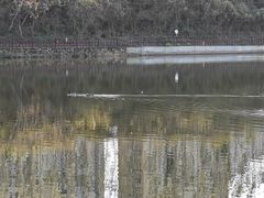-前关湿地公园