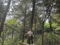 -梦幻奥陶纪景区