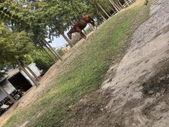 -酷鱼垂钓CLUB(朝阳区博大路店 )