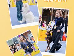 -斯普瑞斯奥特莱斯