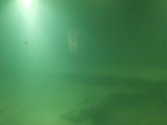 -白鹤梁水下博物馆