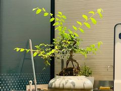 -北芒BEIMO COFFEE(五台山店)
